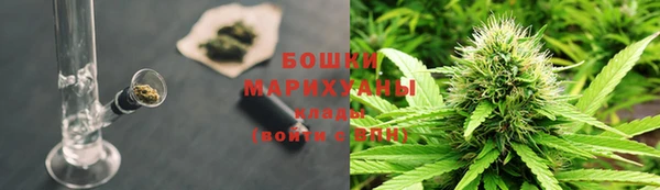каннабис Аркадак
