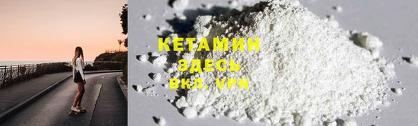 крисы Алексин