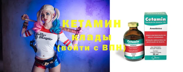 шишки Почеп