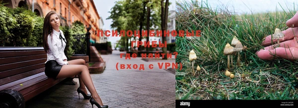 каннабис Аркадак