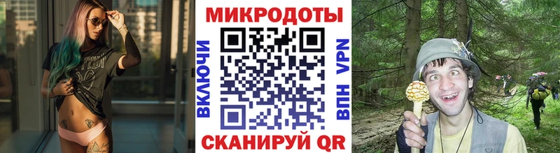 купить наркотик  Чадан  Галлюциногенные грибы MAGIC MUSHROOMS 